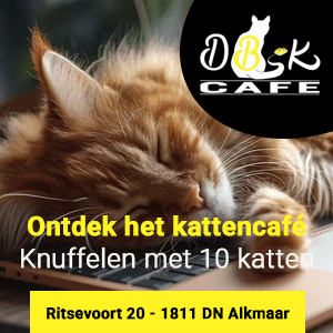 digibeet-en-katten-caf