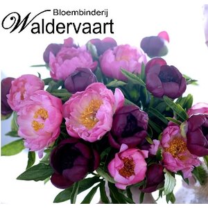 Bloembinderij Waldervaart logo
