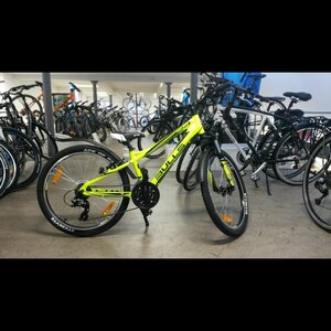 Ber Koning Fiets-Sport image 1