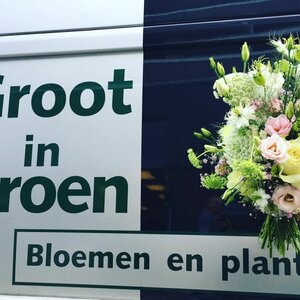 Groot in Groen image 8