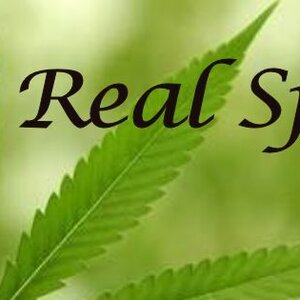 CBD / The Real Spirit image 2