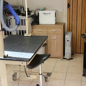 Anoebis Hondentrimsalon image 2