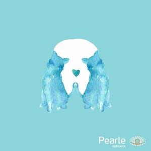 Pearle Beverwijk image 2