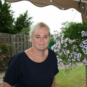 Marion Horvers - De Uitvaartwens image 1