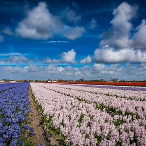 Alex F Fotografie image 1