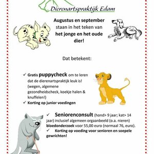 Dierenartspraktijk Edam image 2