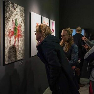 Westfries Museum image 1