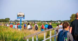 Wandelaars trotseren de wind: "M'n krullen zijn er helemaal uitgewaaid"