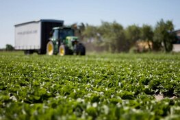 Vacature Allround agrarisch medewerker TB&S BV