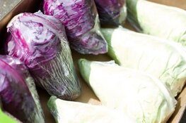 TB&S, specialist in spitskool