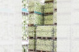 TB&S, specialist in spitskool