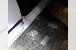 Man aangehouden met fikse portie softdrugs