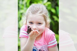 Vlindertuin Vlindorado vanaf Valentijnsdag geopend