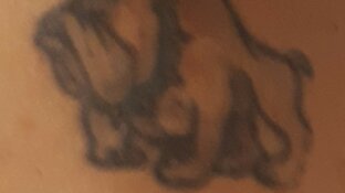 Politie zoekt identiteit van 'niet aanspreekbare' man in Broek op Langedijk