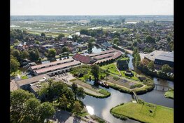 Wat leeft er eigenlijk allemaal in de sloot?