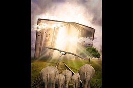 Programma Bibliotheek Langedijk Kinderboekenweek