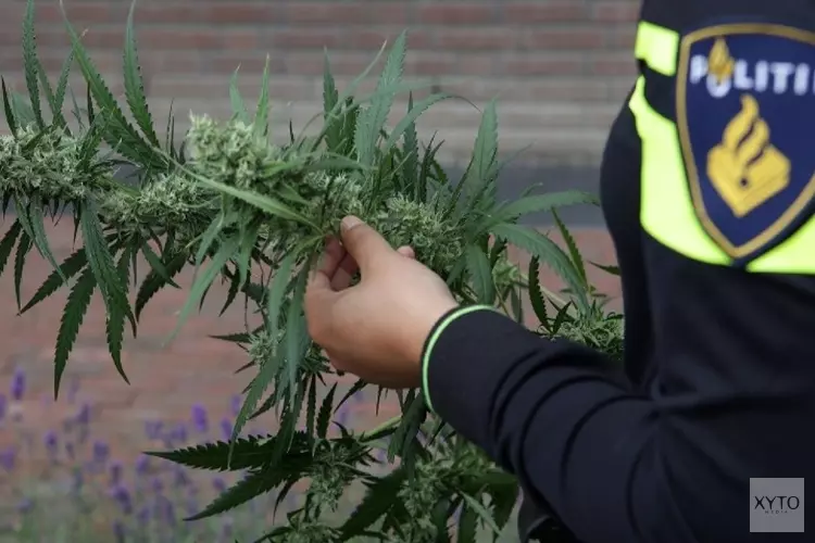 Woning Oudkarspel gesloten na vondst hennepkwekerij