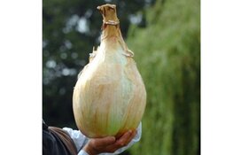 De ‘zware’ Uitdaging van De Groot en Slot