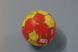 Dion Ferdinandus wordt nieuwe trainer Vrone/Berdos