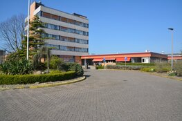 Geslaagde Paasverrassing voor bewoners Zuyder Waert