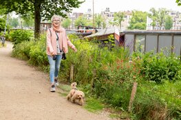 Een oppashond voor senioren: gezellig èn gezond