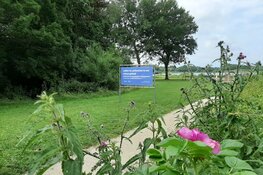 Campagne tegen zwerfafval