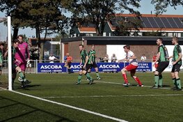 De Rijp en Vrone delen de punten