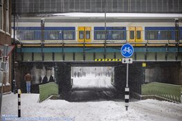 Winterse zondag in beeld