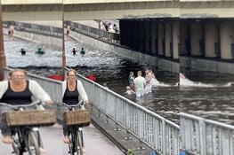 Waterpret onder spoorbrug in Alkmaar