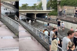 Waterpret onder spoorbrug in Alkmaar