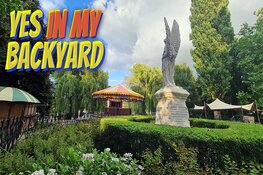 Acht concerten tijdens zomerfestival ' YES IN MY BACKYARD'