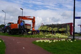 Witte kool op straat na inschattingsfout
