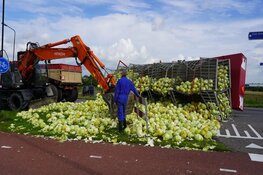 Witte kool op straat na inschattingsfout