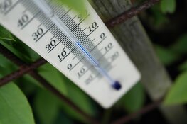 Zeer zachte jaarwisseling op komst: 10-12 graden