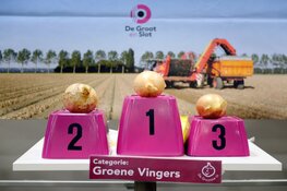 Wedstrijd 'De Grootste Ui' gaat van start