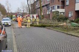 Fotoalbum: Noord-Holland in de greep van storm Eunice