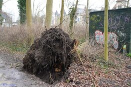 Fotoalbum: Noord-Holland in de greep van storm Eunice