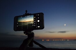 Workshop Smartphone fotografie op locatie Hortus Overzee in Den Helder