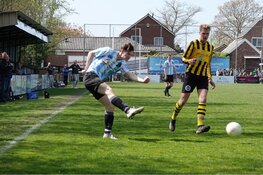 Vrone kansloos onderuit tegen Meervogels