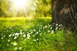 Komende week iets koeler, maar bovenal zonnig en droog