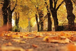 Laatste week van oktober begint met buien, maar eindigt zonnig en warm