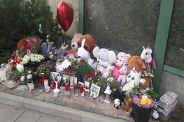 Zes maanden gevangenisstraf en 2 jaar rijontzegging voor dodelijke aanrijding