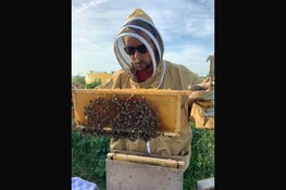 Nieuwe lichting imkers uit regio Alkmaar/Zaanstad kijken uit naar mooi bijenjaar 2023