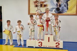 Vijf EBI-Sports judoka's naar de Noord-Hollandse titelstrijd