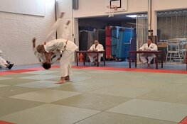 Judo-examens EBI-Sports
