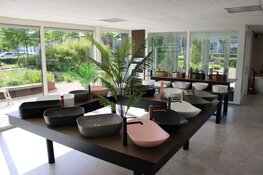 Saniwaard Sanitair & Tegels: Uw droombadkamer binnen vier weken!