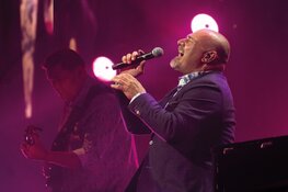 Tribute bands: muziek van toen is helemaal van nu!
