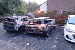 Drie auto's door brand verwoest aan Bergkristal in Heerhugowaard