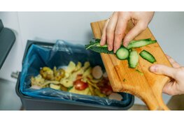 Nieuw evenement GroenDoen richt zich op een toekomstbestendig Dijk en Waard