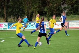 LSVV VR1 krijgt pak slaag in eigen huis